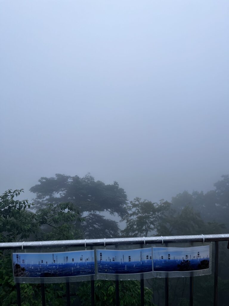 霧で真っ白になった山頂からの景色