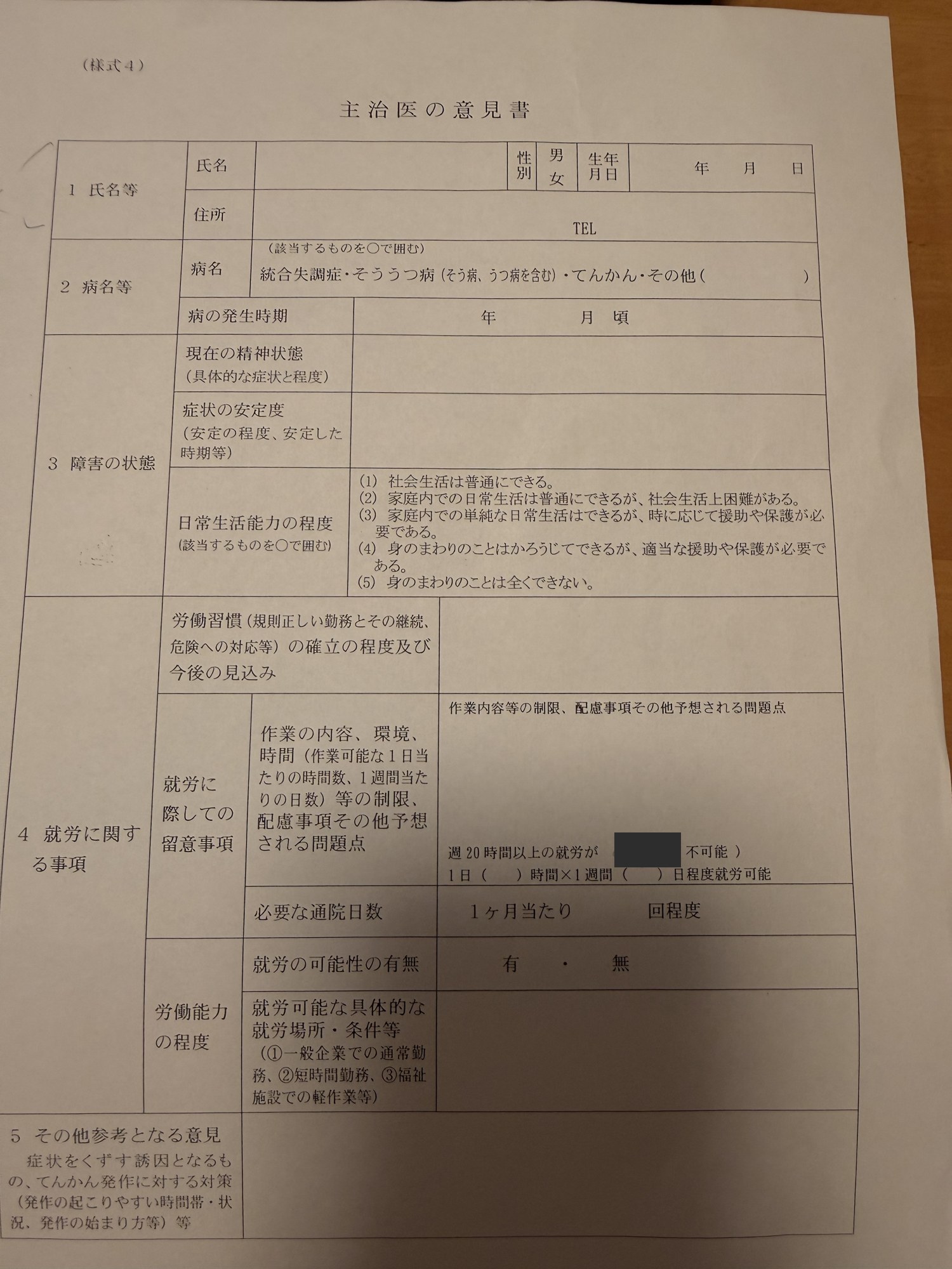 窓口で渡された様式4「主治医の意見書」の白紙